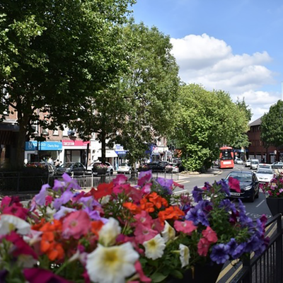 Stanmore Area Guide - Gibbs Gillespie