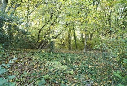 for sale land on the west side of sandy lane london 62818 - Gibbs Gillespie