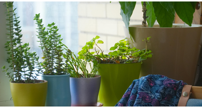 Plan your Spring rental refresh: Budget-friendly décor, maintenance, and gardening tips - Gibbs Gillespie