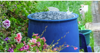 Rainwater harvesting 101: How to use rainwater at home - Gibbs Gillespie