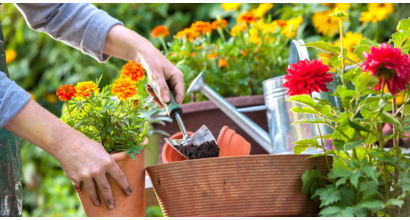 12 tips for a more sustainable garden - Gibbs Gillespie