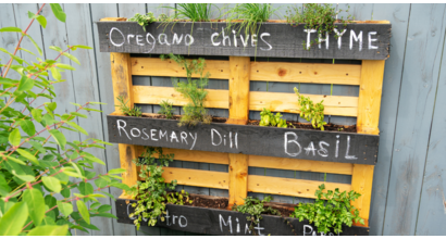 Upcycling in the garden: 10 creative ways to reuse household waste - Gibbs Gillespie