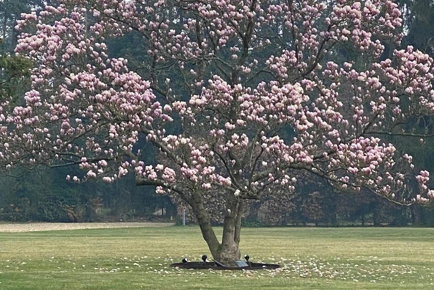 for sale over the misbourne road london 24808 - Gibbs Gillespie